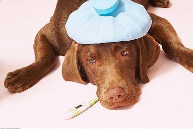 《波斯王子：失落的王冠》全新剧情DLC“面具阴影”现已正式发售